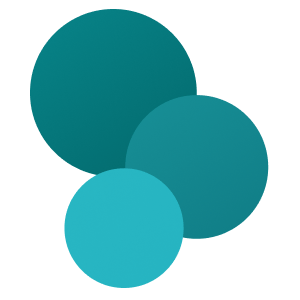 IT Support & Maintenance